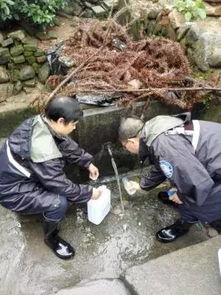 組建應(yīng)急分隊(duì)，筑牢汛期飲水安全防線